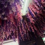 Photo submitted by Sean