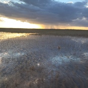 Photo submitted by Ivan