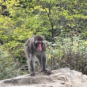 Photo submitted by Danielle