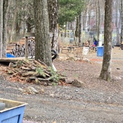 Photo submitted by midge