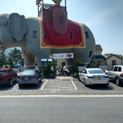 Photo submitted by connie