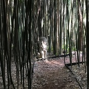 Photo submitted by Kim