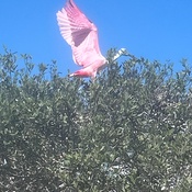 Photo submitted by Limary