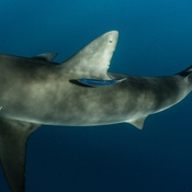 Photo submitted by Mika