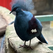 Photo submitted by Catherine