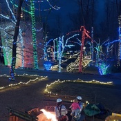 Photo submitted by Guest