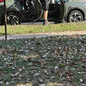 Photo submitted by Suzanne