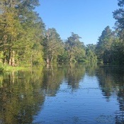 cajun pride swamp tour groupon