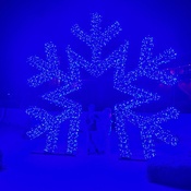 Photo submitted by Lacey