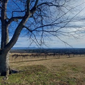 Photo submitted by Teresa