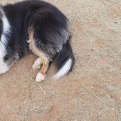 Photo submitted by L