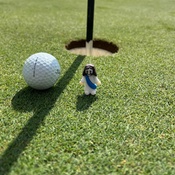 Photo submitted by Andrew