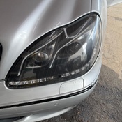 Photo submitted by Guest