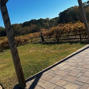 Photo submitted by Guest