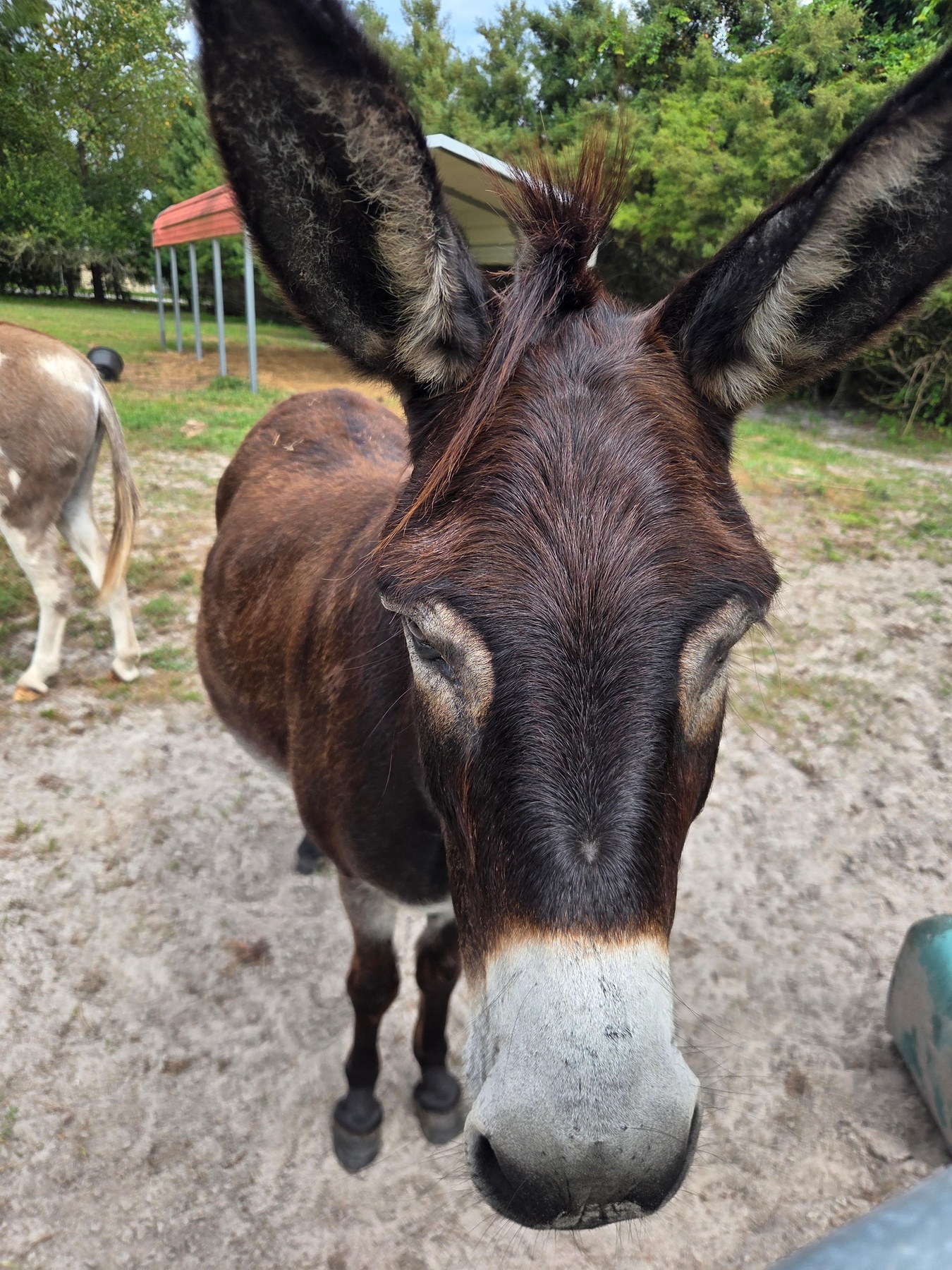 HarvestMoon Fun Farm - From $26.10 - Brooksville | Groupon