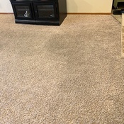 Curtis E Carpet Cleaning