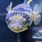 Photo submitted by Heather