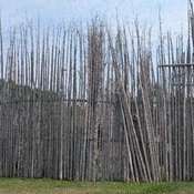 Photo submitted by Melissa