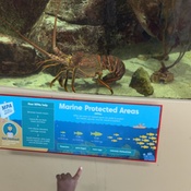 Photo submitted by Elise