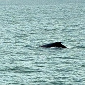 Photo submitted by Kelly