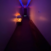 Photo submitted by Brittany