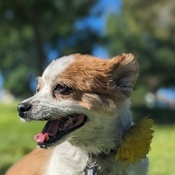 Photo submitted by Jennie