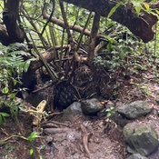 Photo submitted by Kathleen