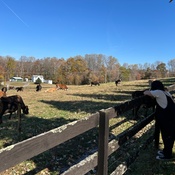 Photo submitted by Estela