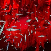 Photo submitted by Tim