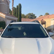 Photo submitted by Emma