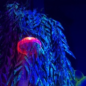 Photo submitted by Angela