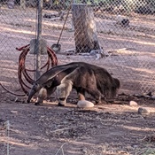 Photo submitted by David