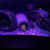 Photo submitted by dhani