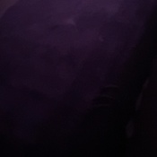 Photo submitted by Liyah