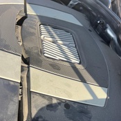 Photo submitted by Jerry