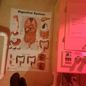 Photo submitted by martha