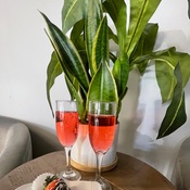 Photo submitted by Guest