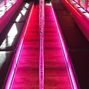 Photo submitted by antonio