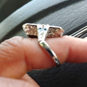 Photo submitted by Patricia