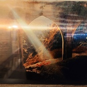 Photo submitted by Gina