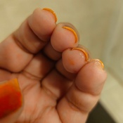 Photo submitted by Nadia