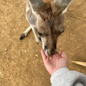 Photo submitted by lacey