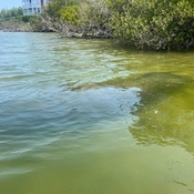 Photo submitted by Tamara