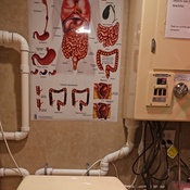 Photo submitted by Jatania