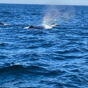 Photo submitted by Francie