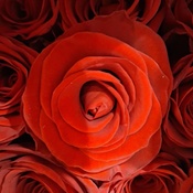 Photo submitted by Glenn