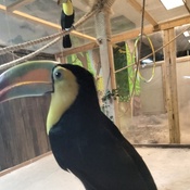 Photo submitted by Meghan