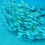 Photo submitted by Melissa