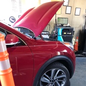 Photo submitted by Teresa