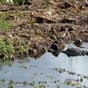 Photo submitted by Patsy